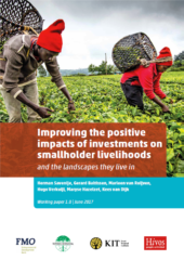 Improving the positive impacts of investments on smallholder livelihoods and the landscapes they live in