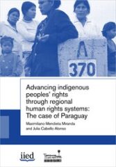 Advancing indigenous peoples’ rights through regional human rights systems: The case of Paraguay