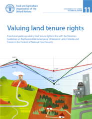 Valuing land tenure rights