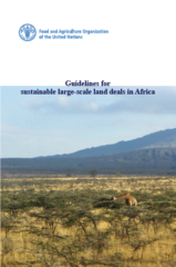 Guidelines for sustainable large-scale land deals in Africa