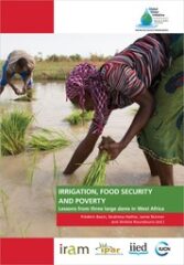Irrigation, sécurité alimentaire et pauvreté – Leçons tirées de trois grands barrages en Afrique de l’Ouest