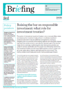 Raising the bar on responsible investment: what role for investment treaties?