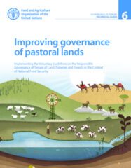 Improving Governance of Pastoral Lands
