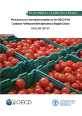 Pilot project on the implementation of the OECD-FAO Guidance for Responsible Agricultural Supply Chains : baseline report