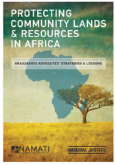 Protecting community lands & resources in Africa : grassroots advocates’ strategies & lessons