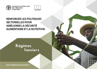 Renforcer les politiques sectorielles pour améliorer la sécurité alimentaire et la nutrition : note n°7 sur les régimes fonciers