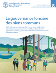 La gouvernance foncière des biens communs