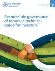 Responsible governance of tenure: a technical guide for investors