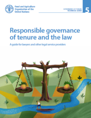 Responsible governance of tenure and the law : a guide for lawyers and other legal service providers