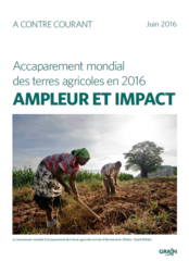 Accaparement mondial des terres agricoles en 2016 : ampleur et impact