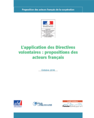 L’application des Directives volontaires : propositions des acteurs français