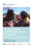 Free Prior  and Informed  Consent An indigenous peoples’ right and a  good practice for local communities