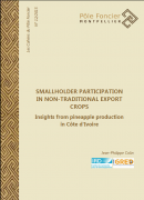 Smallholder Participation in Non-Traditional Export Crops. Insights from pineapple production in Côte d’Ivoire