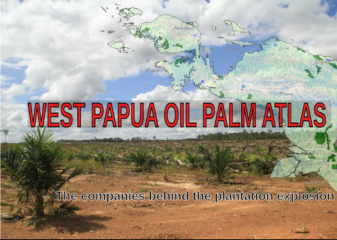 L’atlas de l’huile de palme en Papouasie occidentale : les entreprises derrière le boom des plantations d’huile de palme