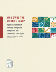 Who owns the world’s land? A global baseline of formally recognized indigenious and community land rights