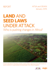 Land and seed laws under attack: who is pushing changes in Africa?