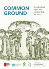 Common ground: Securing land rights and safeguarding the earth