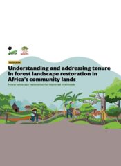 Toolbox: Understanding and addressing tenure in forest landscape restoration in community lands