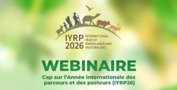 Cap sur l’Année internationale des parcours et des pasteurs [Replay]