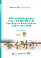 Effets du développement et de la transformation de l’orpaillage sur les dynamiques foncières en Guinée