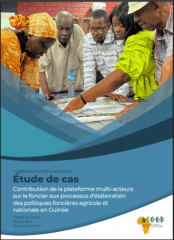 Contribution de la plateforme multi-acteurs sur le foncier aux processus d’élaboration des politiques foncières agricole et nationale en Guinée. Étude de cas.