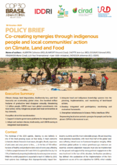 Créer des synergies grâce à l’action des peuples autochtones et des communautés locales en matière de climat, de terres et d’alimentation