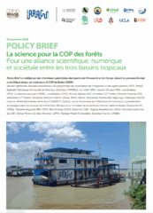 La science pour la COP des forêts. Pour une alliance scientifique, numérique et sociétale entre les trois bassins tropicaux