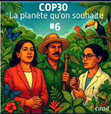 [Podcast] Belèm : le bilan