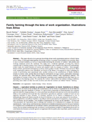 Family farming through the lens of work organization. Illustrations from Africa.