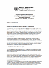 Déclaration du Groupe de travail des Nations Unies sur les paysans et autres personnes travaillant dans les zones rurales à l’occasion de la COP30, Belèm, Brésil
