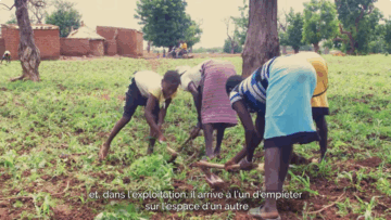 Sécurisation foncière et gestion des conflits. Actions de Pro-ARIDES au Burkina Faso