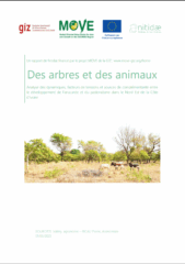 Des arbres et des animaux