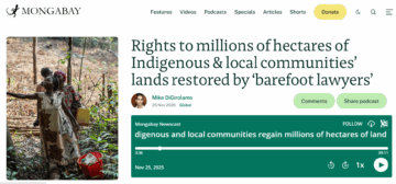 [Podcast] Rights to millions of hectares of Indigenous & local communities’ lands restored by ‘barefoot lawyers’