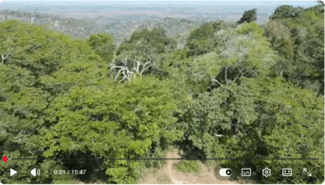 Protecting sacred Kenyan forests through a biocultural heritage territory