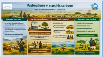 Pastoralisme et marchés carbone : une nouvelle note de position pour l’Année internationale des parcours et des pasteurs 2026