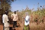 Suivi-évaluation du programme de récupération des terres PAM / FAO au Niger