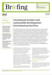 Investment treaties and sustainable development: investment protection