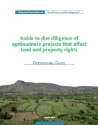 Guide to due diligence of agribusiness projects that affect land and property rights