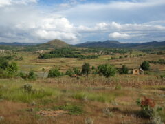 Madagascar : fortes inquiétudes autour de la nouvelle loi foncière