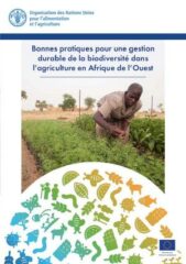Bonnes pratiques pour une gestion durable de la biodiversité dans l&rsquo;agriculture en Afrique de l&rsquo;Ouest