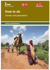 How to do gender and pastoralism ?