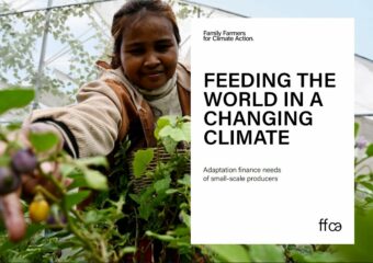 Feeding the world in a changing climate. Adaptation finance needs of small-scale producers
