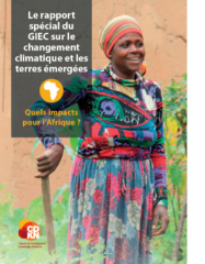 Rapport du GIEC sur le changement climatique et les terres émergées : quels impacts pour l’Afrique ?