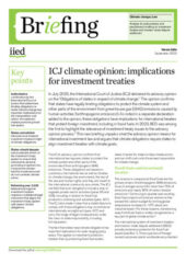 ICJ climate opinion: implications for investment treaties