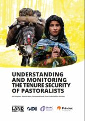 Understanding and monitoring the tenure security of pastoralists