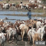 Agriculture familiale et pastoralisme