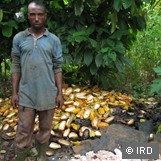 Côte d’Ivoire