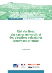 Etat des lieux des cadres normatifs et directives volontaires concernant le foncier