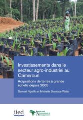 Investissements dans le secteur agro-industriel au Cameroun