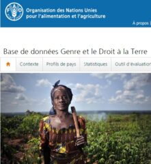 Nouveau site web pour la base de données « Genre et Droits fonciers » (FAO)